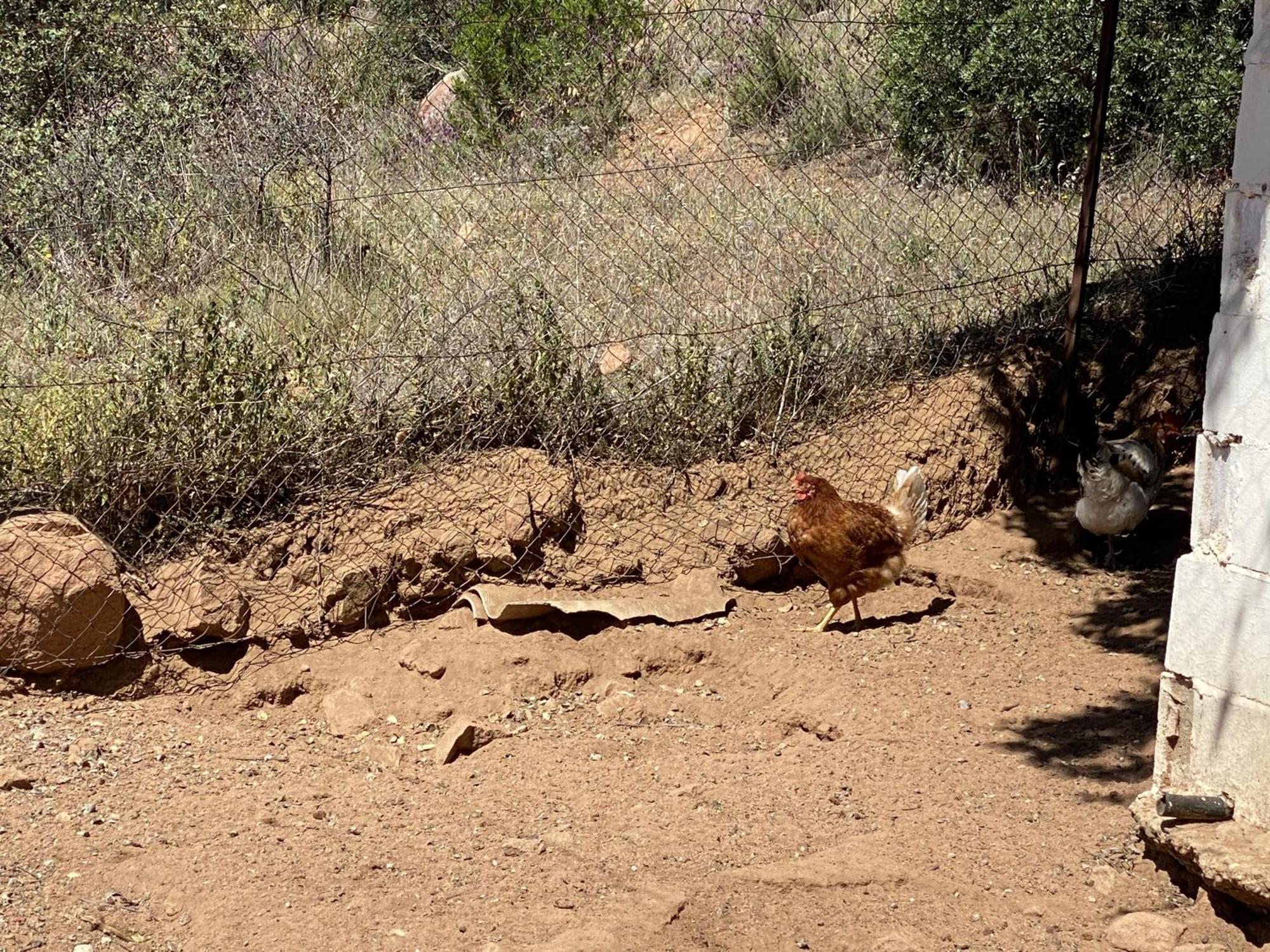 Las Chorreras Del Orejon 2 Villaviciosa de Córdoba 外观 照片