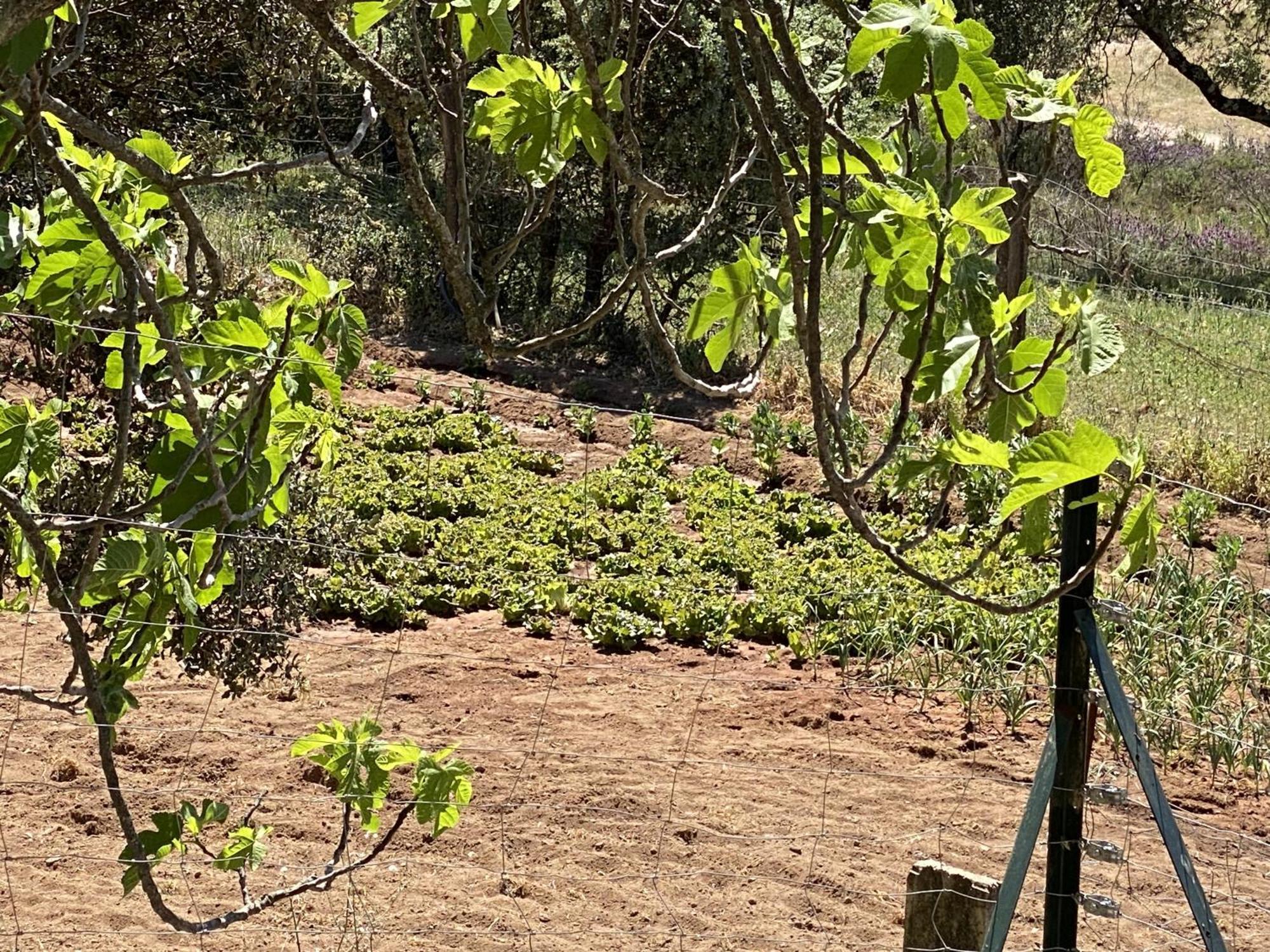 Las Chorreras Del Orejon 2 Villaviciosa de Córdoba 外观 照片